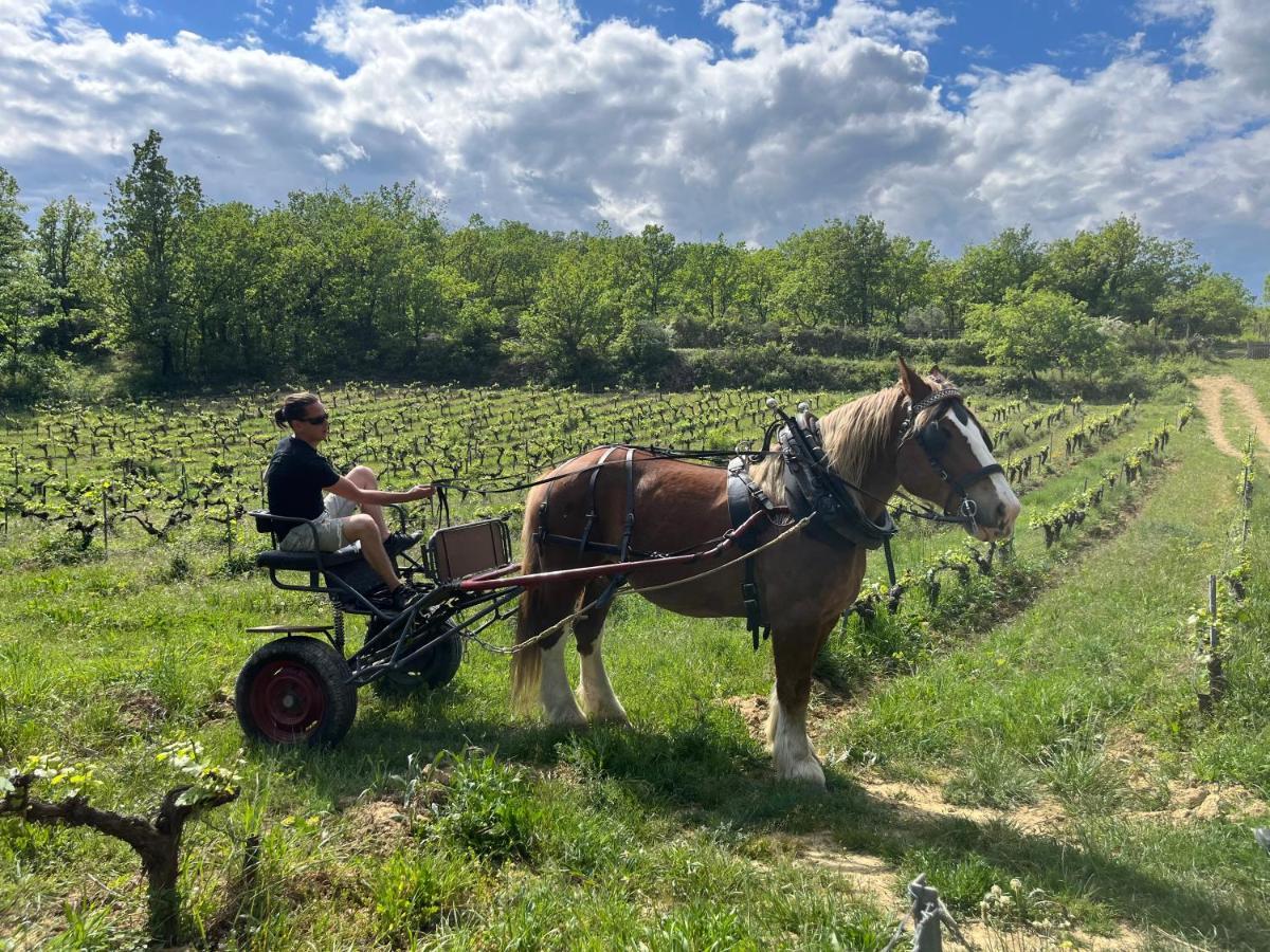 Maison Du Vigneron Vezenobres Buitenkant foto